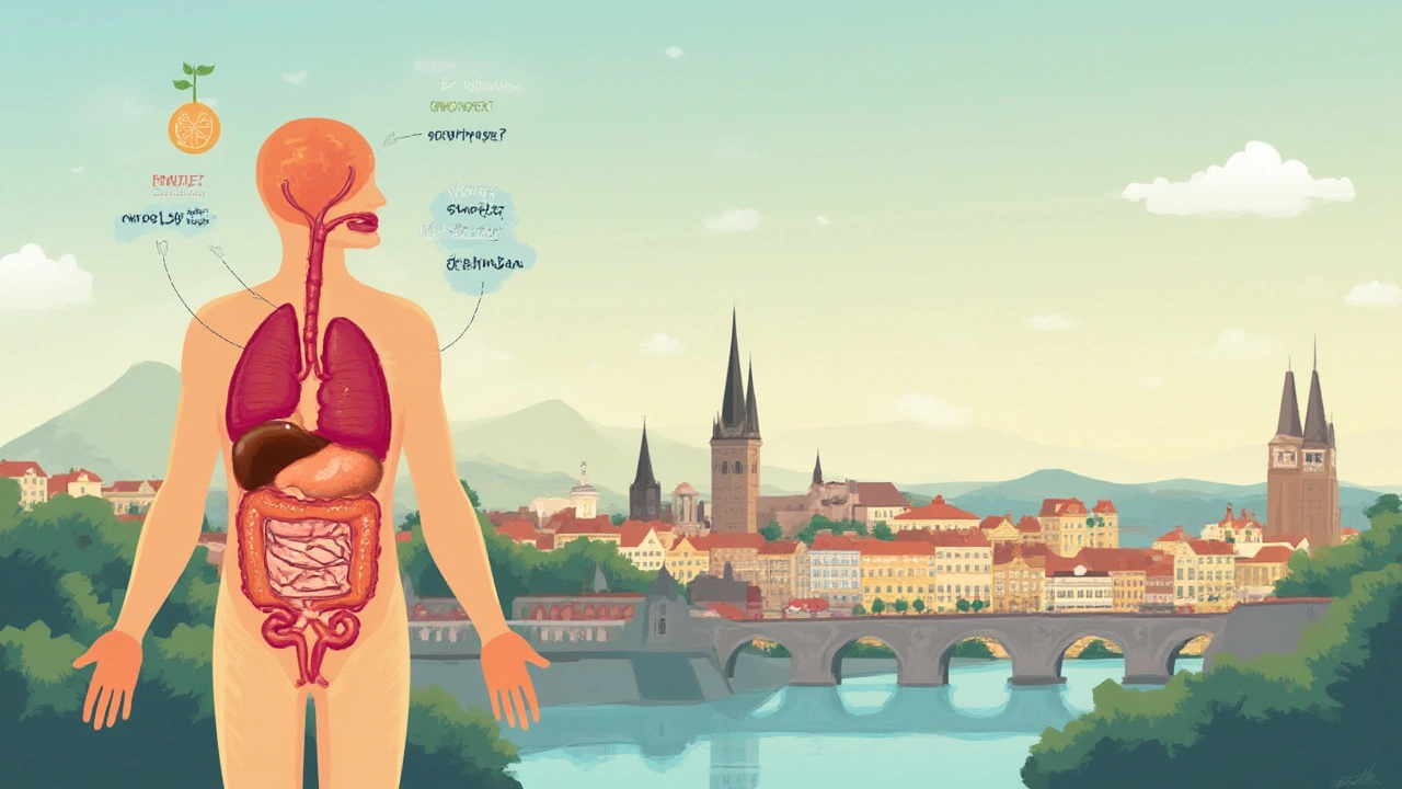 Mýty a pravdy o detoxikaci aneb proč nestačí vypít „očistnou šťávu“