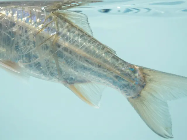 Co je to nativní kolagen a proč je lepší než jiné druhy?