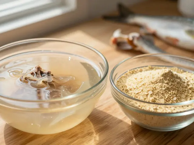 Jaký je rozdíl mezi želatinou a kolagenem? Vše, co potřebujete vědět