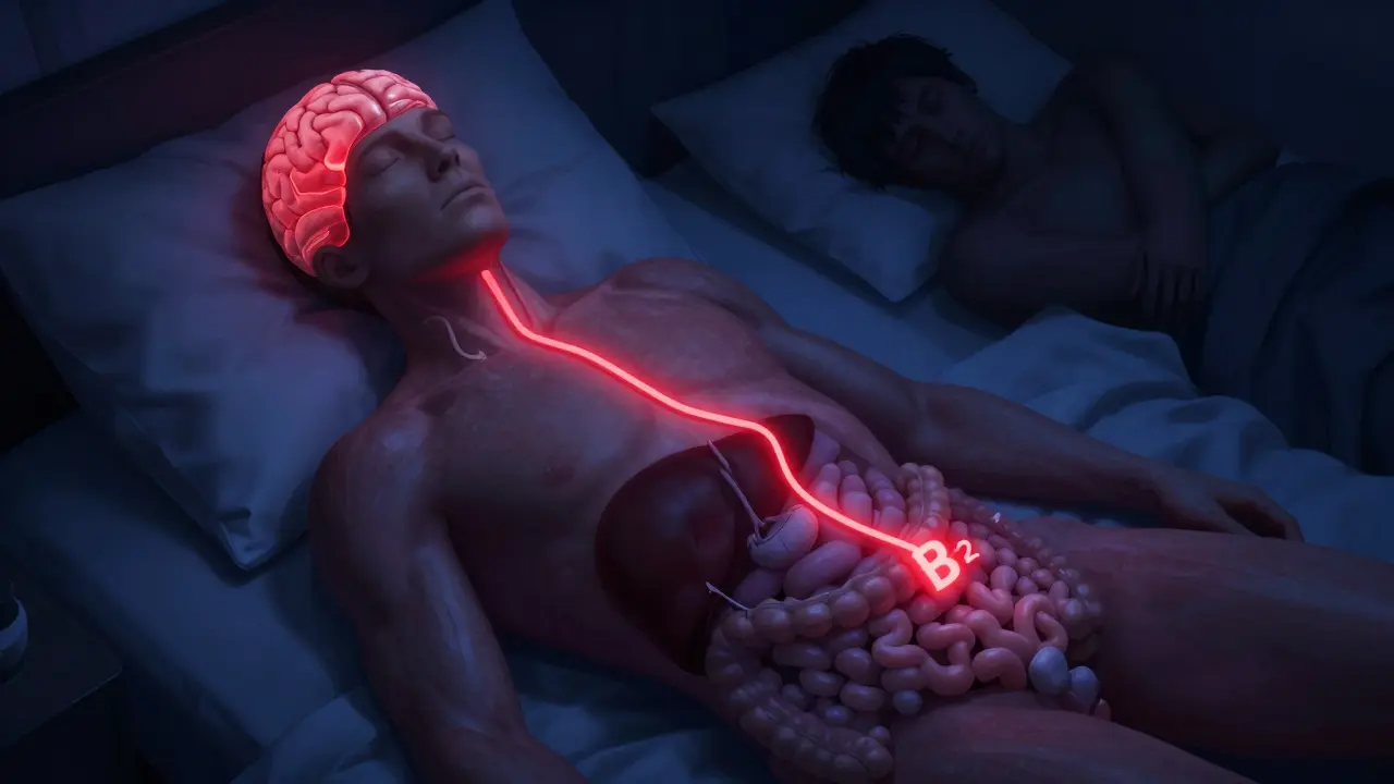 Tělo v noci s interferencí vitamínu B12 a výroby melatoninu.