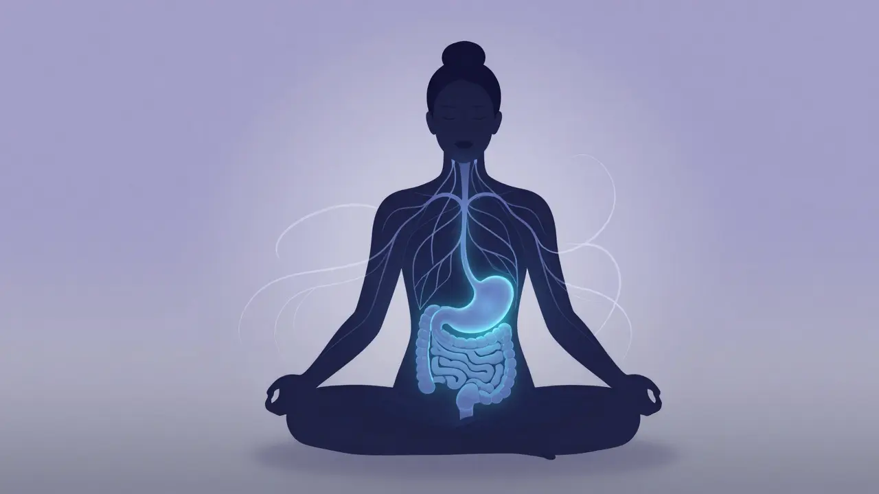 Ilustrace meditující osoby s vizualizací spojení mezi mozkem a trávicím ústrojím